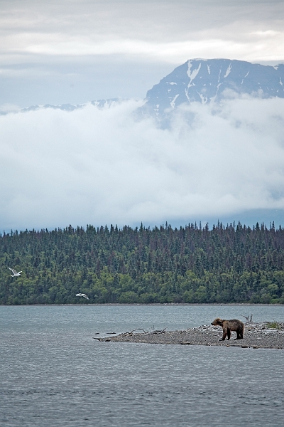 portage_0005-01