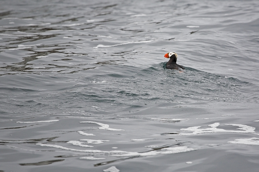 seward1_0266-01