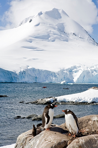 portlockroy_0054