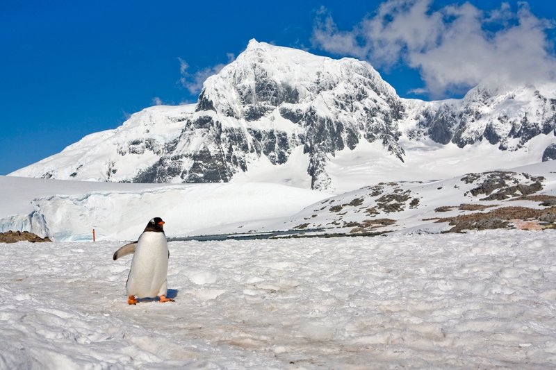 portlockroy_0061