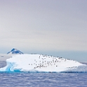 Antarctica 2008