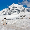 portlockroy_0061