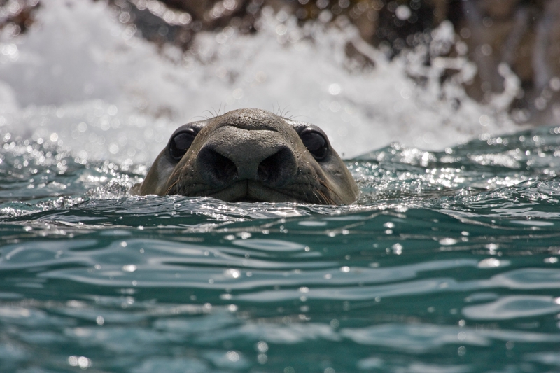 cooperbay1_0062