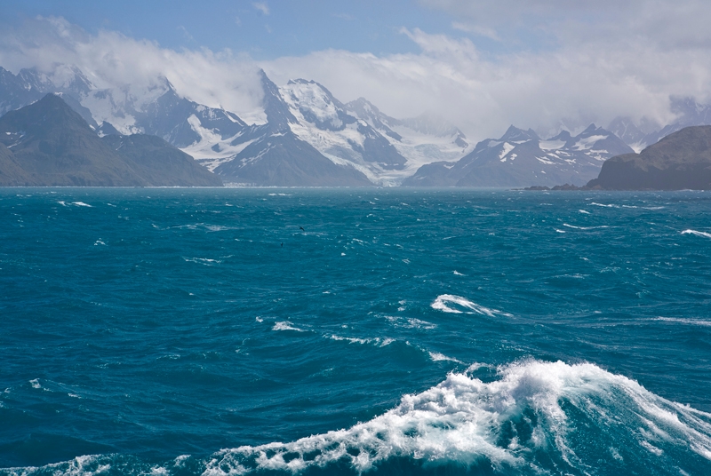 grytviken_0008