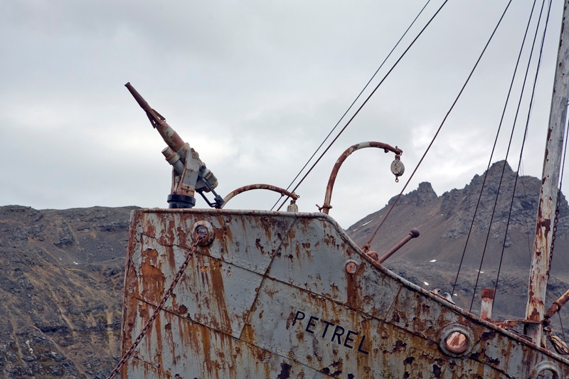grytviken_0159