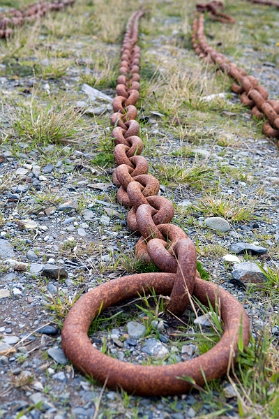 grytviken_0197