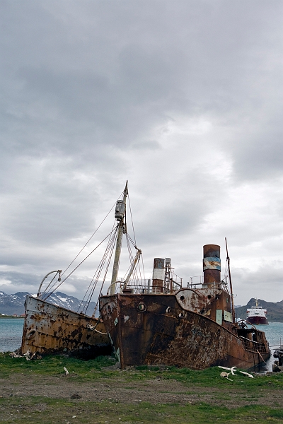 grytviken_0225