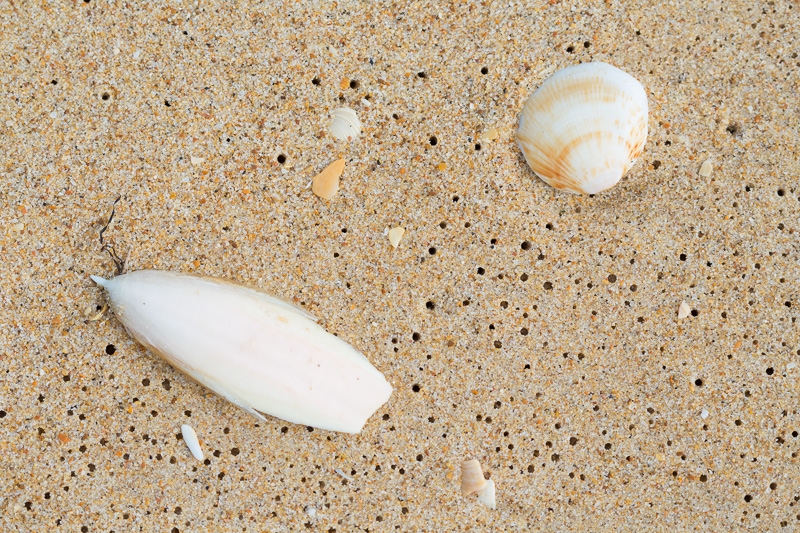 LakesEntrance-015