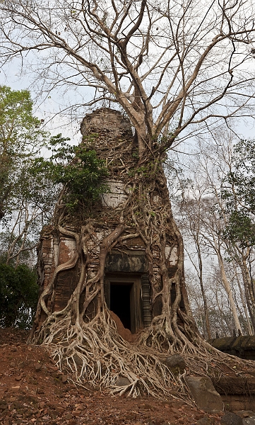 angkor11-13-Edit - angkor11-15-Edit - 5745x9543 - PCUL-Smartblend