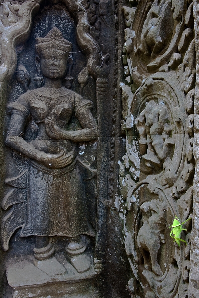 angkor6-151