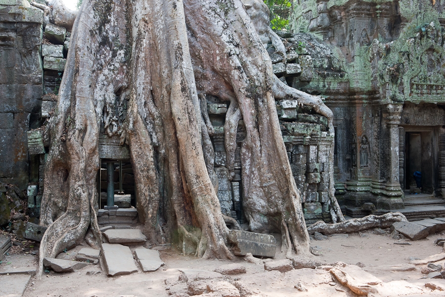 angkor6-204