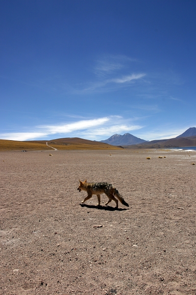 sanpedro_0090 (1)
