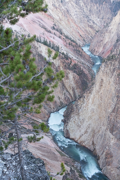 Yellowston6-047