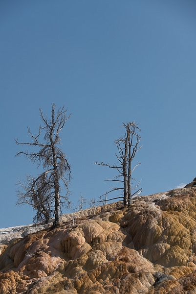 Yellowstone4-032