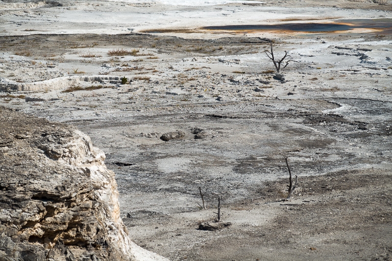 Yellowstone5-018