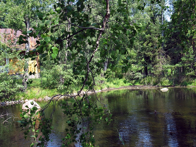 Seurasaari 2