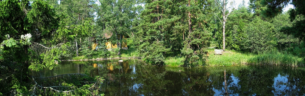 Seurasaari 6