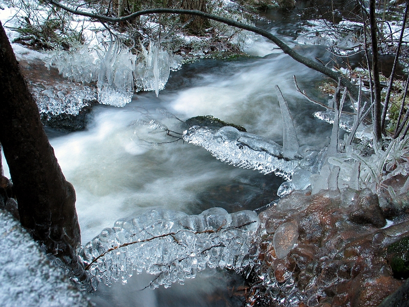 Nuuksio 1