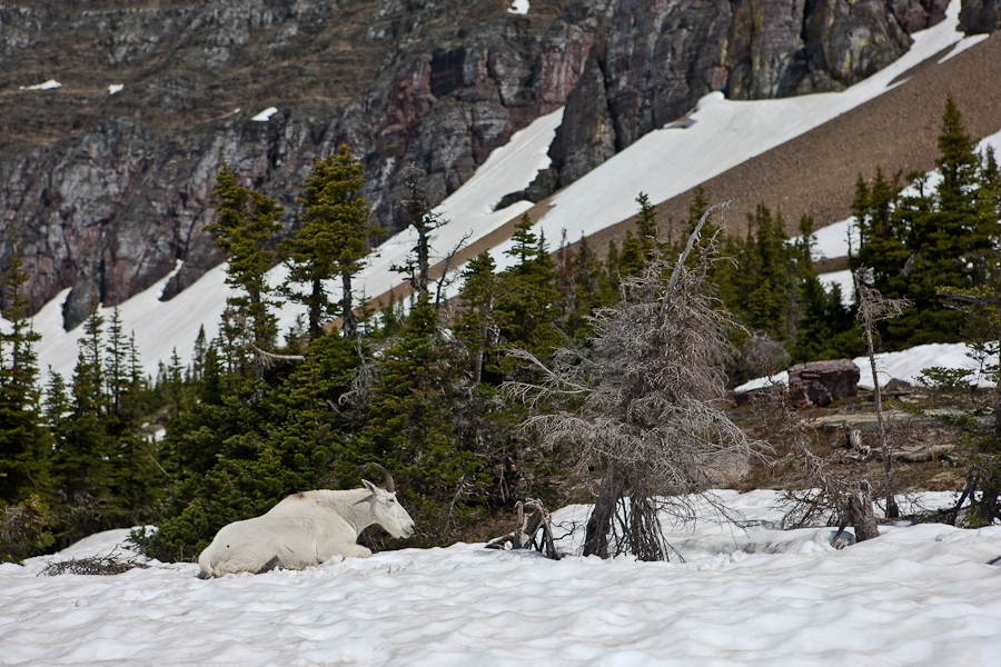 Glacier5-200