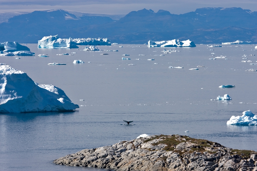 greenland4_0239