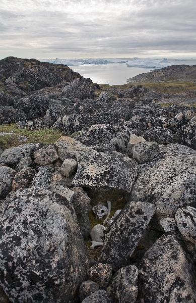 greenland_0310