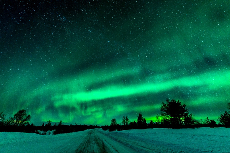 HettaAurorae-025