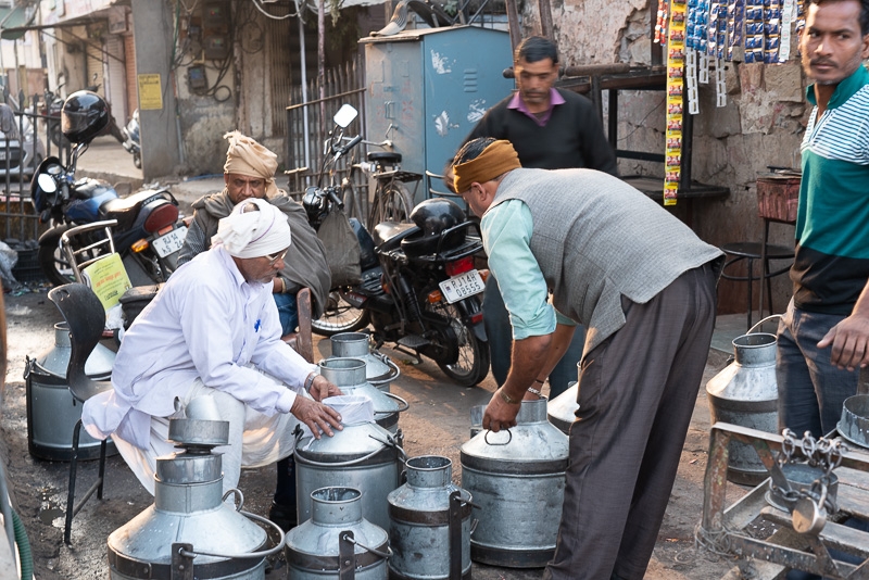 Jaipur-043
