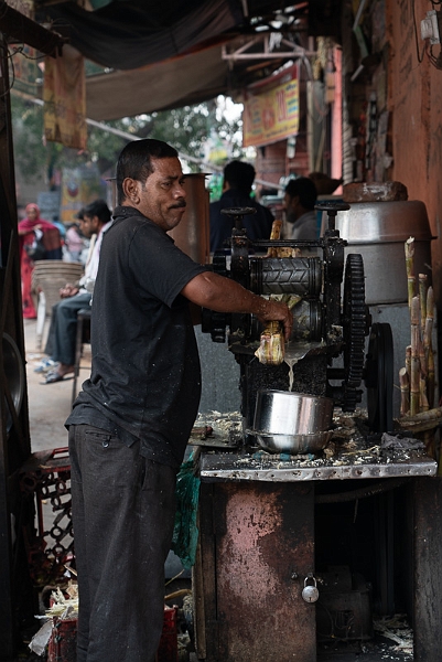 Jaipur-091