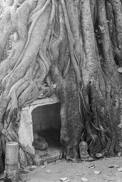 Varanasi3-140