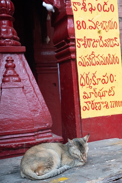 Varanasi3-146