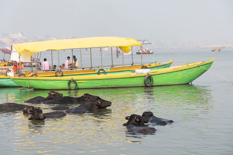Varanasi3-166