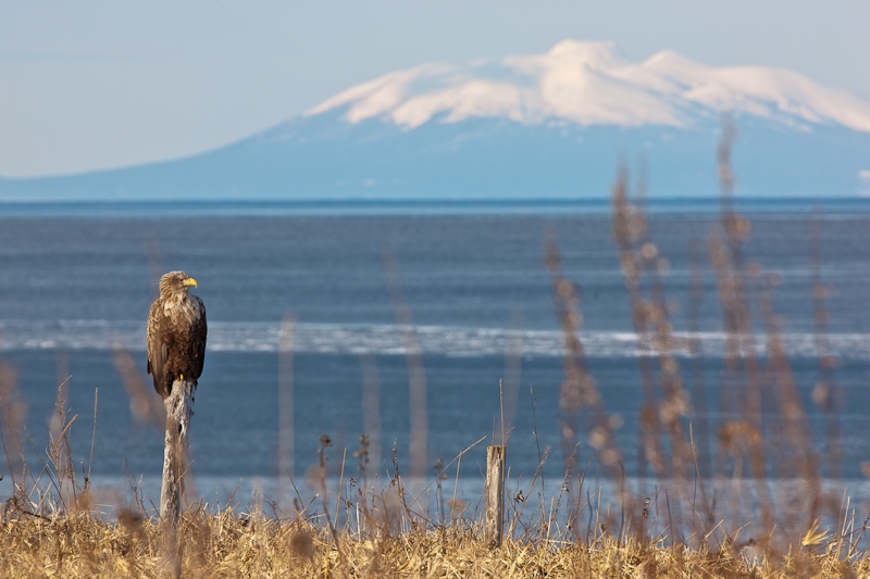LakeFuren1_0271