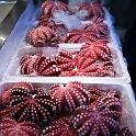 Tokio2_0059