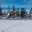 Lapland 2018