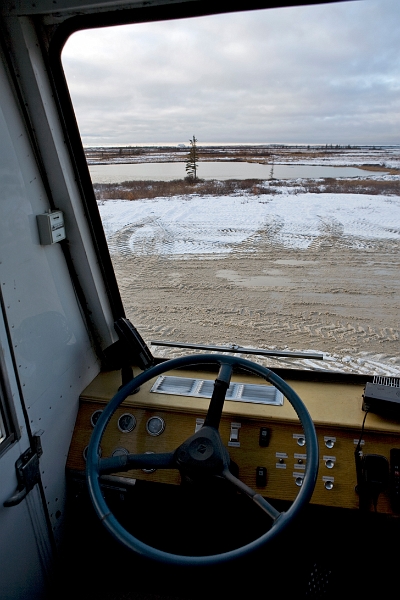 polarbears2_0067