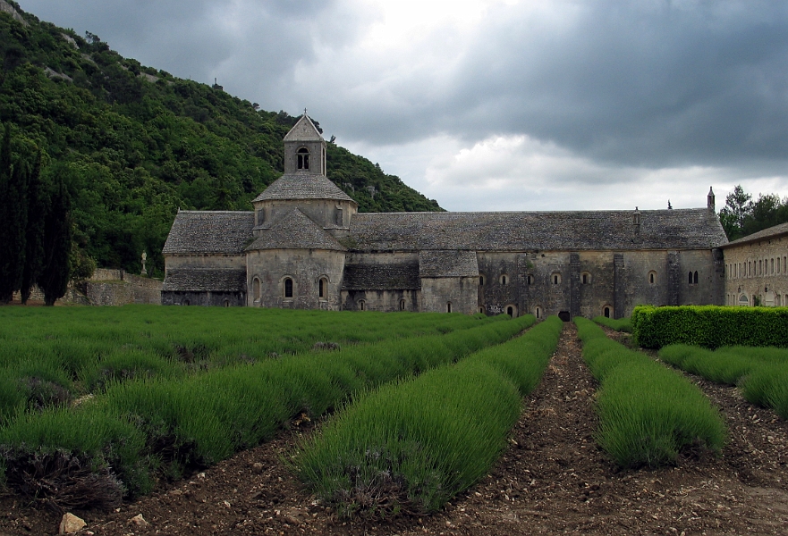 Abbaye de Senanque 2
