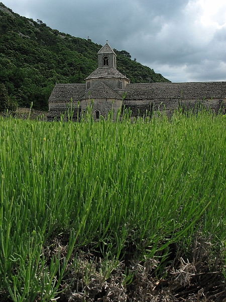 Abbaye de Senanque 3