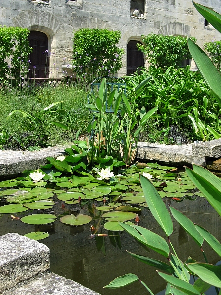 Chateau de Tarascon 5