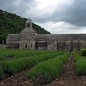 Abbaye de Senanque 2
