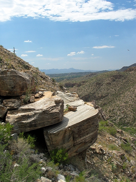 Sabino Canyon 6