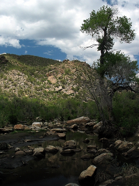 Sabino Canyon 7