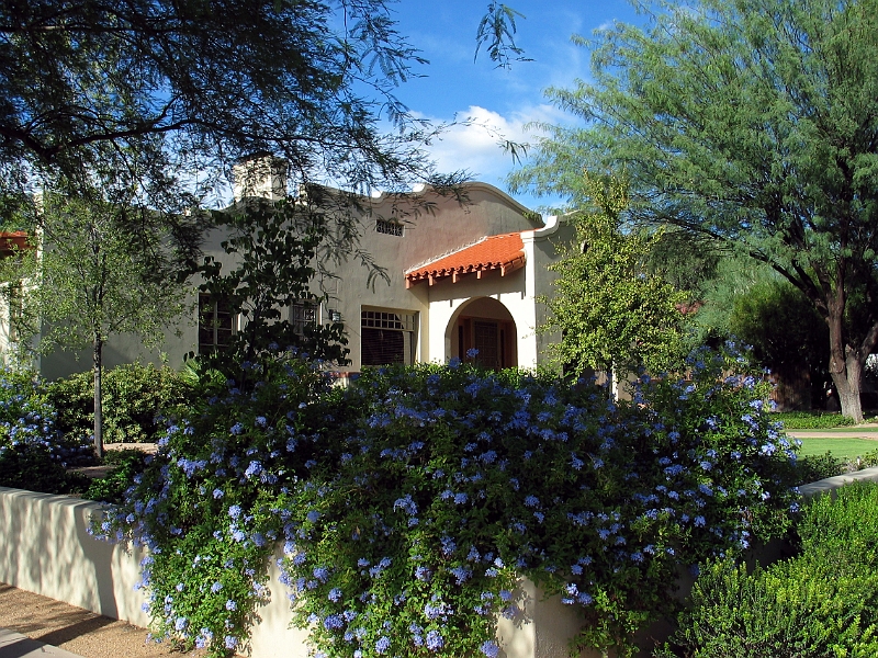 Tucson 2