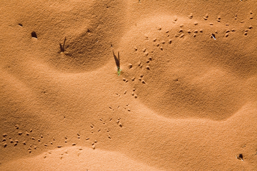 Arches_Canyon_0432