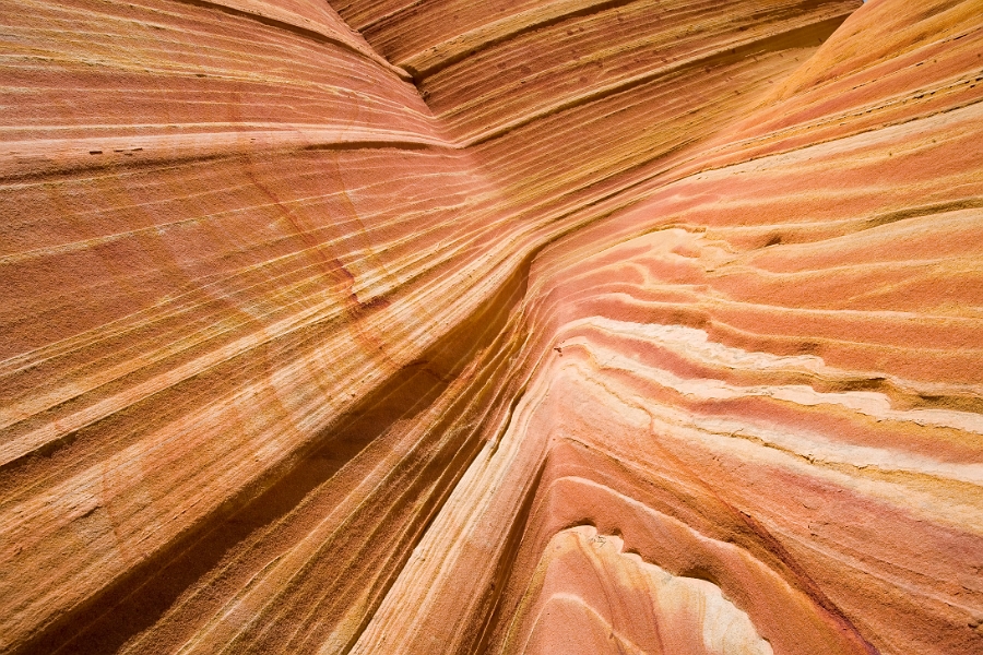wave_0216
